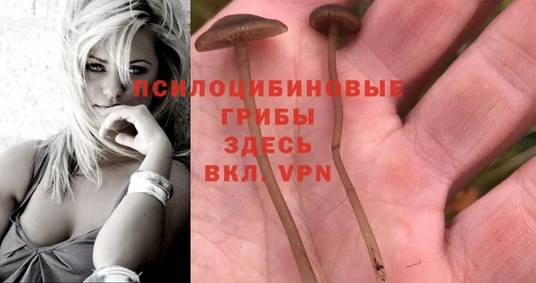 спайс Бородино