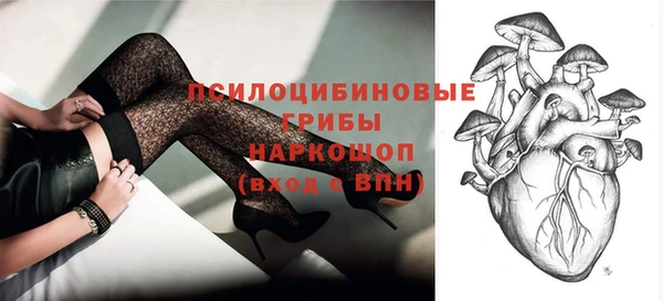 спайс Бородино