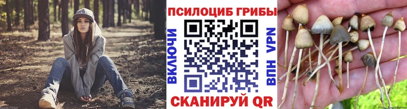 Псилоцибиновые грибы Psilocybine cubensis  Купить закладки  Баймак 